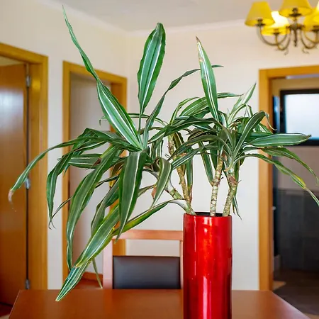 Casa Da Bemposta Vakantiehuis *