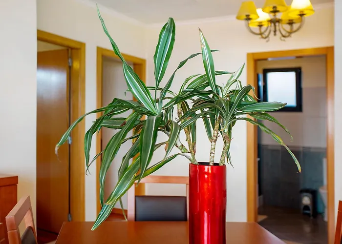 Casa Da Bemposta Holiday home *